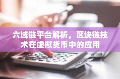 六域链平台解析，区块链技术在虚拟货币中的应用