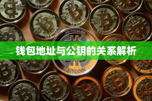 钱包地址与公钥的关系解析
