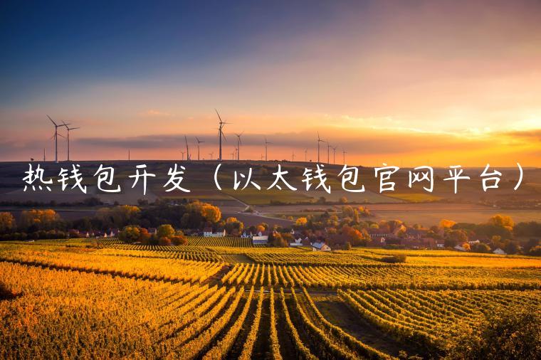 热钱包开发(以太钱包官网平台)