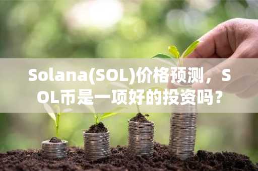 Solana(SOL)价格预测，SOL币是一项好的投资吗？