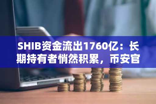 SHIB资金流出1760亿：长期持有者悄然积累，币安官网注册入口助力布局
