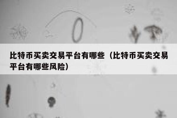 比特币买卖交易平台有哪些（比特币买卖交易平台有哪些风险）