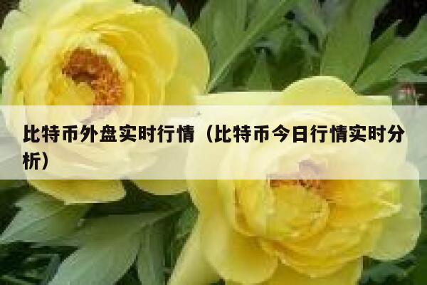 比特币外盘实时行情（比特币今日行情实时分析）
