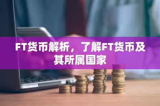FT货币解析，了解FT货币及其所属国家