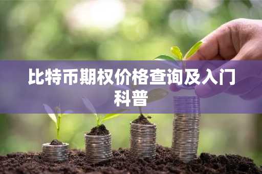 比特币期权价格查询及入门科普