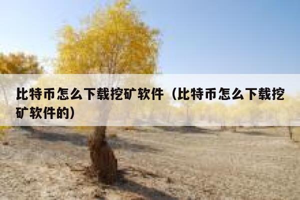 比特币怎么下载挖矿软件（比特币怎么下载挖矿软件的）