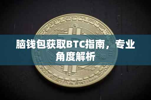 脑钱包获取BTC指南，专业角度解析