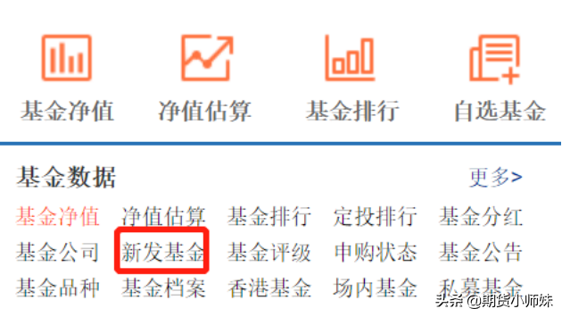 天天基金网打新基金（天天基金网打新基金下载）
