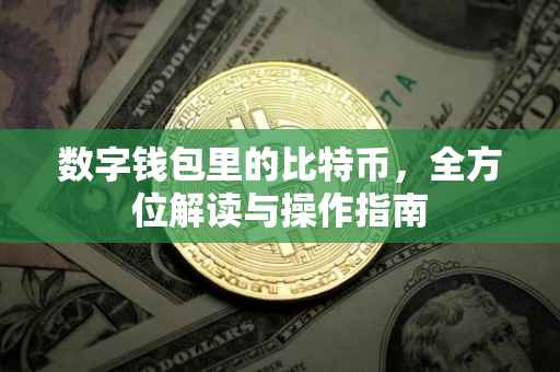 数字钱包里的比特币,全方位解读与操作指南