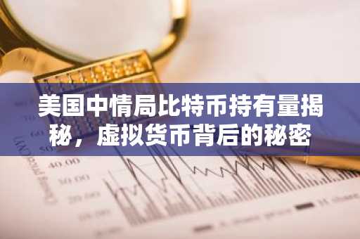 美国中情局比特币持有量揭秘,虚拟货币背后的秘密