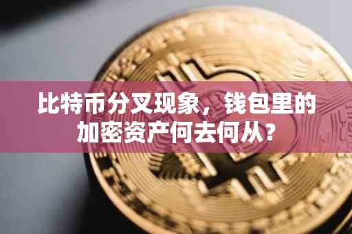 比特币分叉现象，钱包里的加密资产何去何从？