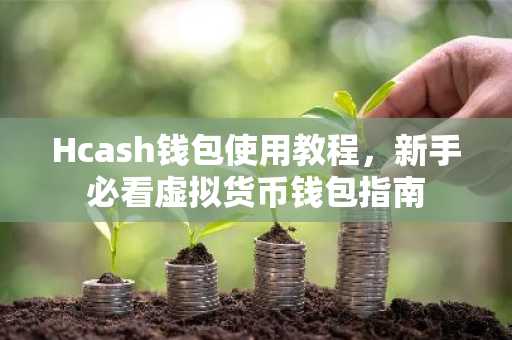 Hcash钱包使用教程，新手必看虚拟货币钱包指南