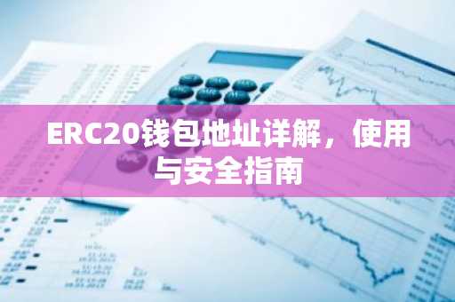 ERC20钱包地址详解,使用与安全指南