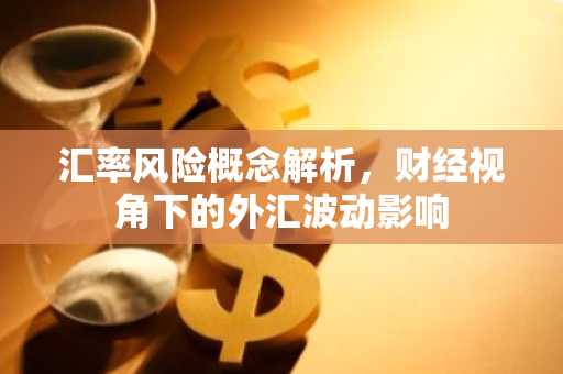 汇率风险概念解析，财经视角下的外汇波动影响