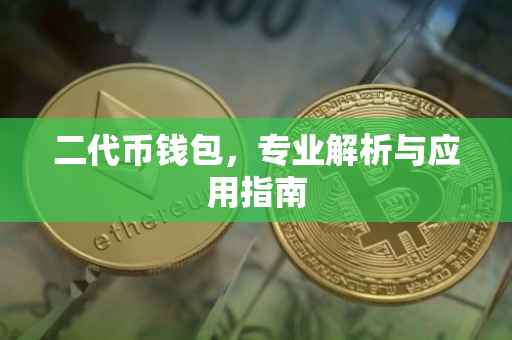 二代币钱包，专业解析与应用指南