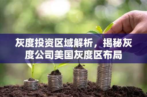 灰度投资区域解析，揭秘灰度公司美国灰度区布局