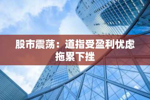 股市震荡：道指受盈利忧虑拖累下挫