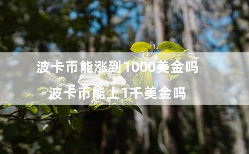 波卡币能涨到1000美金吗（波卡币能上1千美金吗）
