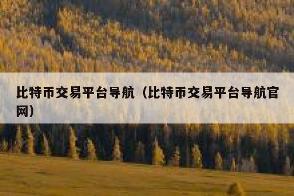比特币交易平台导航(比特币交易平台导航官网)