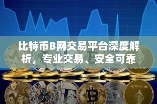 比特币B网交易平台深度解析，专业交易、安全可靠