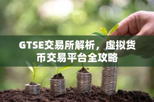 GTSE交易所解析，虚拟货币交易平台全攻略