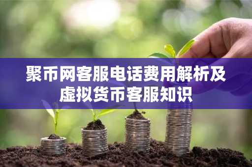 聚币网客服电话费用解析及虚拟货币客服知识