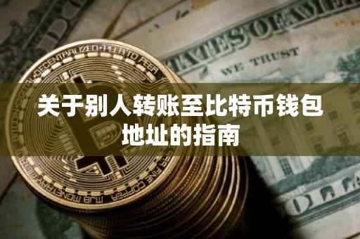 关于别人转账至比特币钱包地址的指南