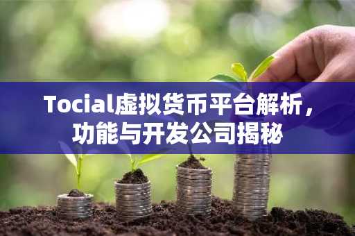Tocial虚拟货币平台解析，功能与开发公司揭秘