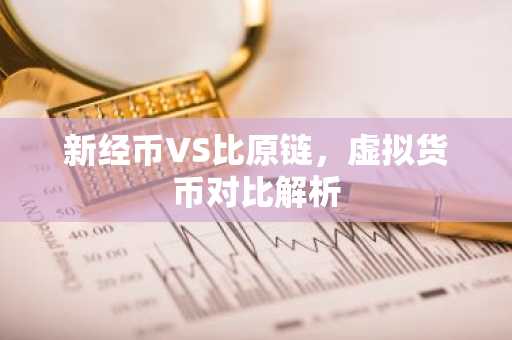 新经币VS比原链，虚拟货币对比解析