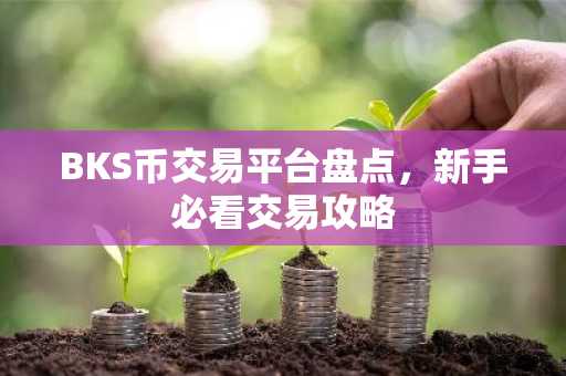 BKS币交易平台盘点，新手必看交易攻略