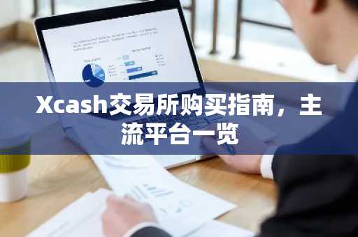 Xcash交易所购买指南，主流平台一览