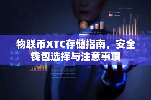 物联币XTC存储指南,安全钱包选择与注意事项