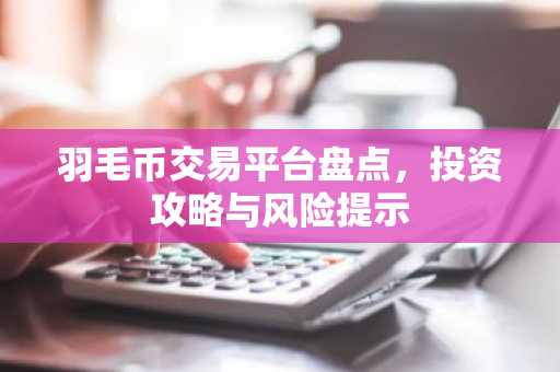 羽毛币交易平台盘点，投资攻略与风险提示