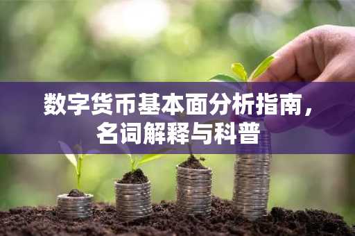 数字货币基本面分析指南,名词解释与科普