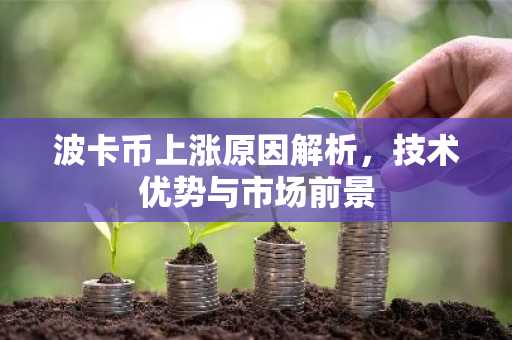 波卡币上涨原因解析，技术优势与市场前景