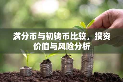 满分币与初铸币比较，投资价值与风险分析