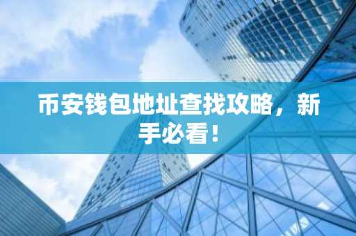 币安钱包地址查找攻略，新手必看！