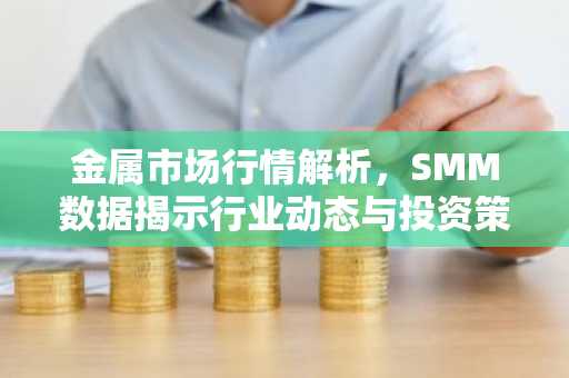 金属市场行情解析，SMM数据揭示行业动态与投资策略