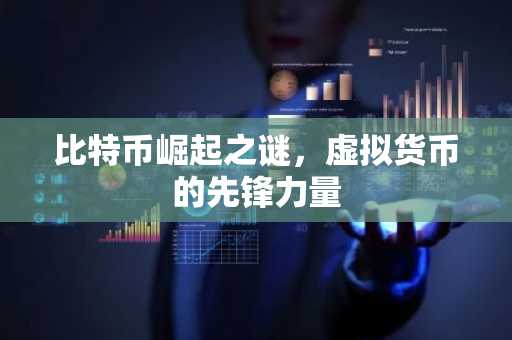 比特币崛起之谜，虚拟货币的先锋力量