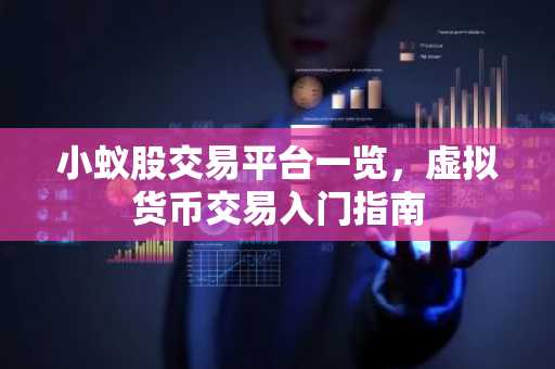 小蚁股交易平台一览，虚拟货币交易入门指南