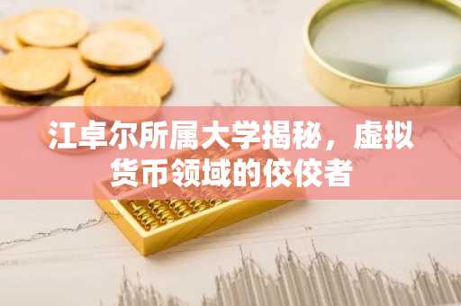 江卓尔所属大学揭秘，虚拟货币领域的佼佼者
