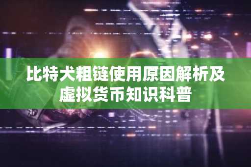 比特犬粗链使用原因解析及虚拟货币知识科普