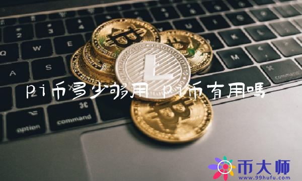 pi币多少够用