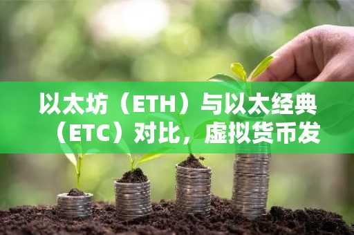 以太坊(ETH)与以太经典(ETC)对比,虚拟货币发展差异解析