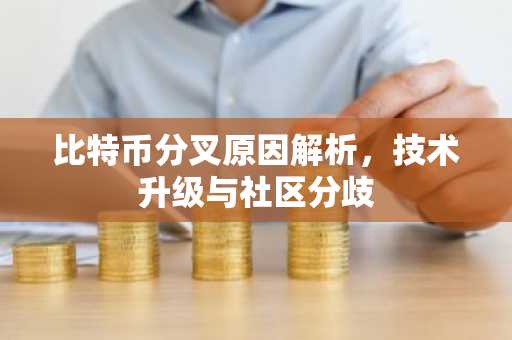 比特币分叉原因解析,技术升级与社区分歧