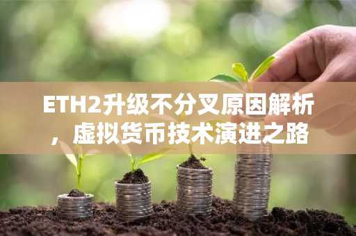 ETH2升级不分叉原因解析，虚拟货币技术演进之路