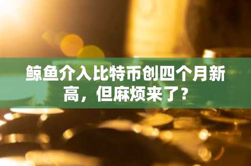 鲸鱼介入比特币创四个月新高,但麻烦来了?