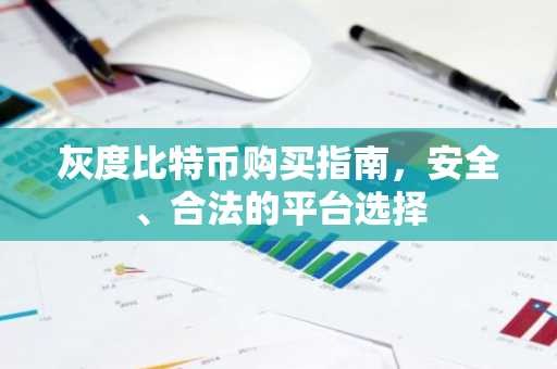 灰度比特币购买指南，安全、合法的平台选择