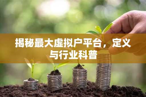 揭秘最大虚拟户平台，定义与行业科普